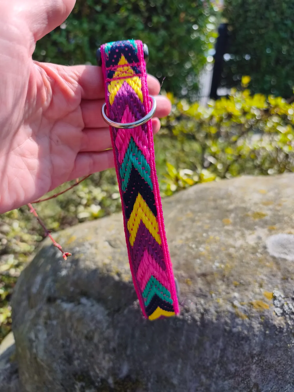 Anja for Dogs Pole Collare cane fucsia regolabile 40-65 cm