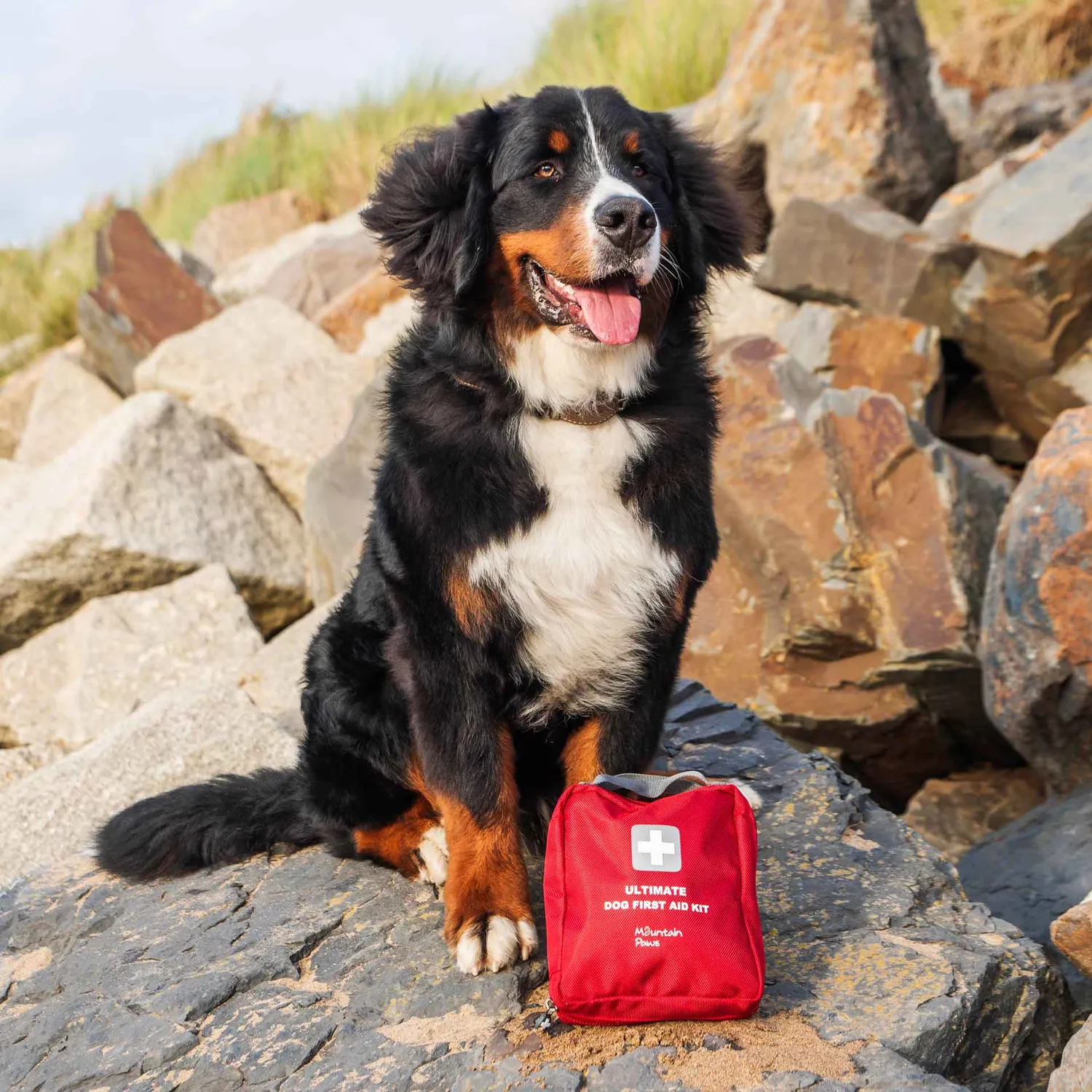 Mountain Paws Ultimate Kit pronto soccorso 56 pezzi