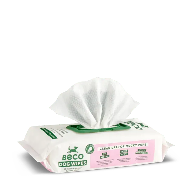 Beco Pets Salviette cane cocco neutre 80 pezzi spesse