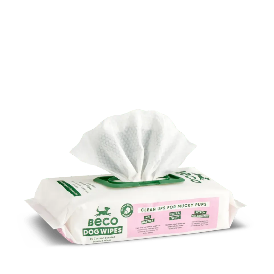 Beco Pets Salviette cane cocco neutre 80 pezzi spesse