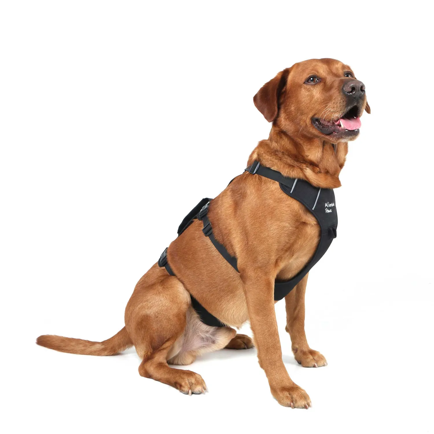 Mountain Paws 3 Strap pettorina per cani regolabile