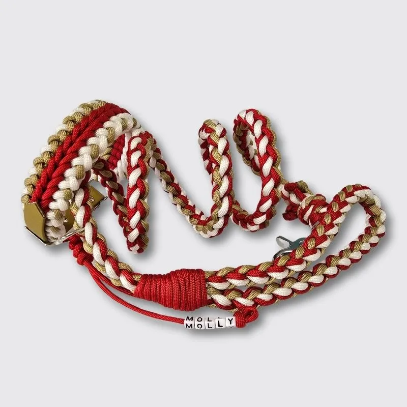 LabArt Dog Dolly Christmas collare cane toy biothane