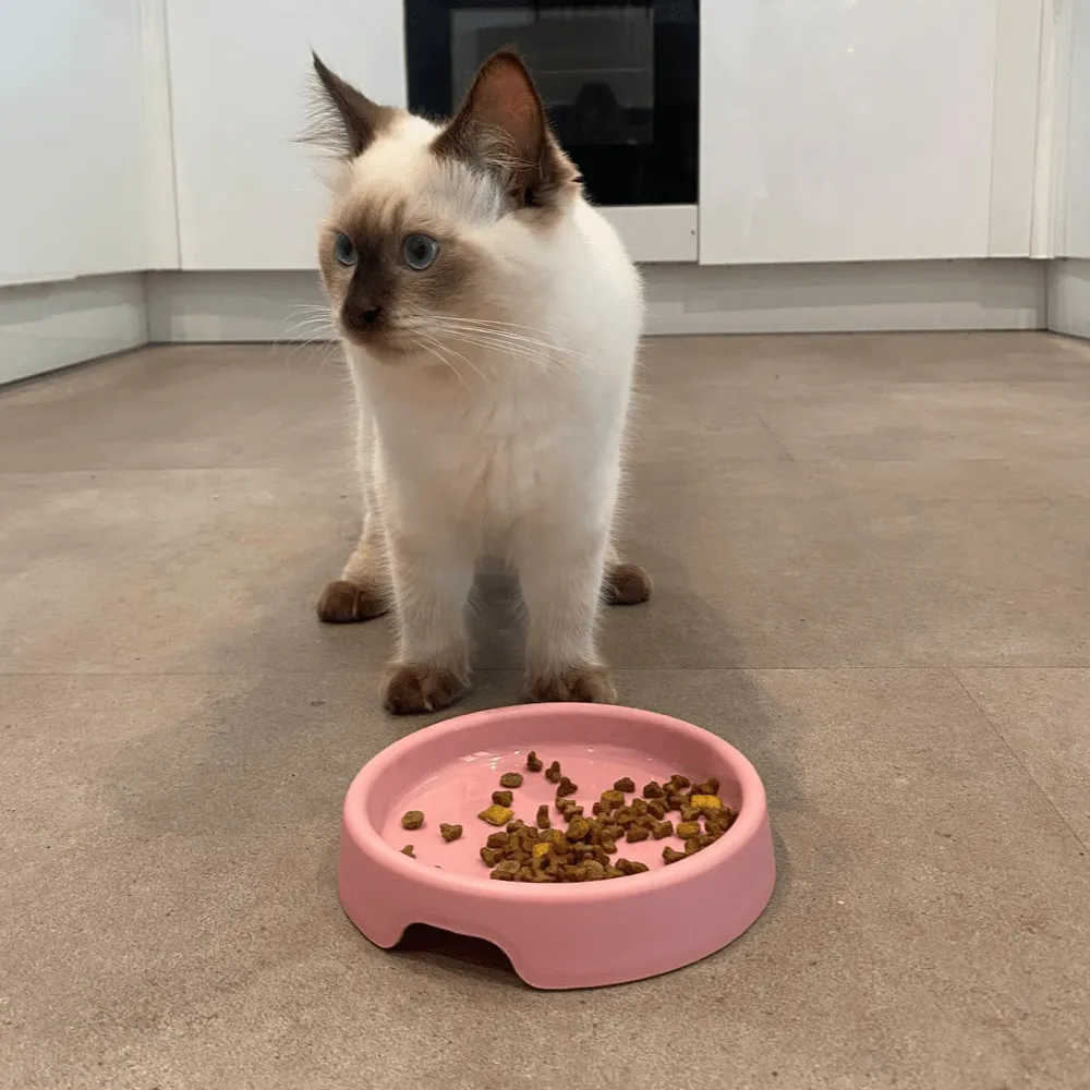 Beco Pets Steady ciotola gatto bassa anti-stress baffi