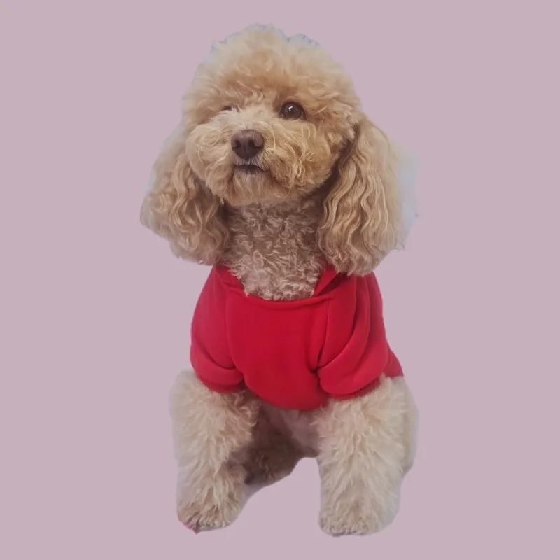 LabArt Dog Valentine Edition felpa cane cotone edizione limitata