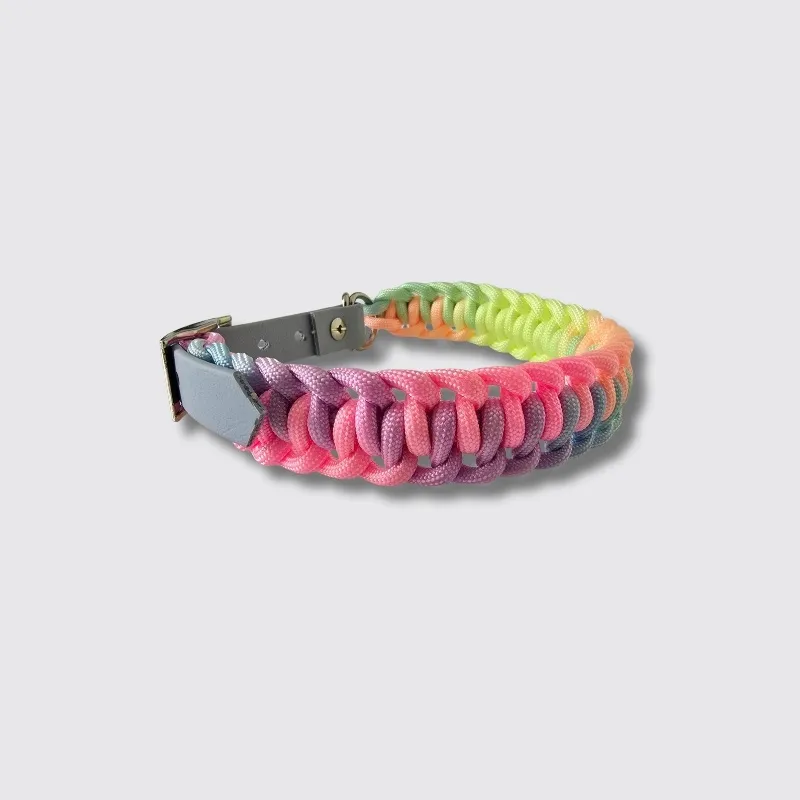 LabArt Dog Lead Rope Toy 4 fili guinzaglio paracord toy