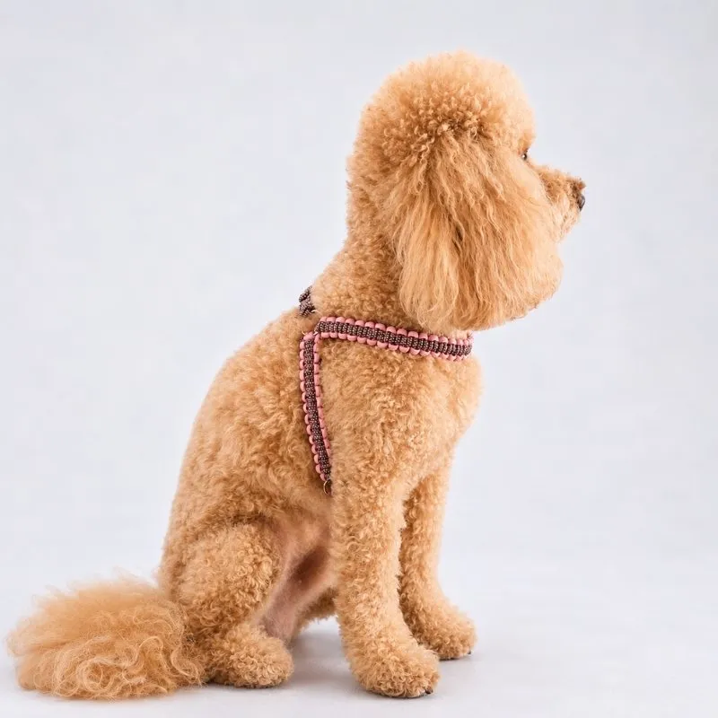 LabArt Dog Lead Rope guinzaglio paracord 4 fili mini e toy