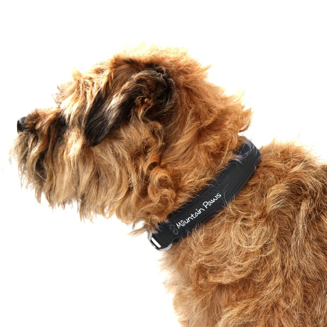 Mountain Paws Collare Cane Nero Imbottito Neoprene