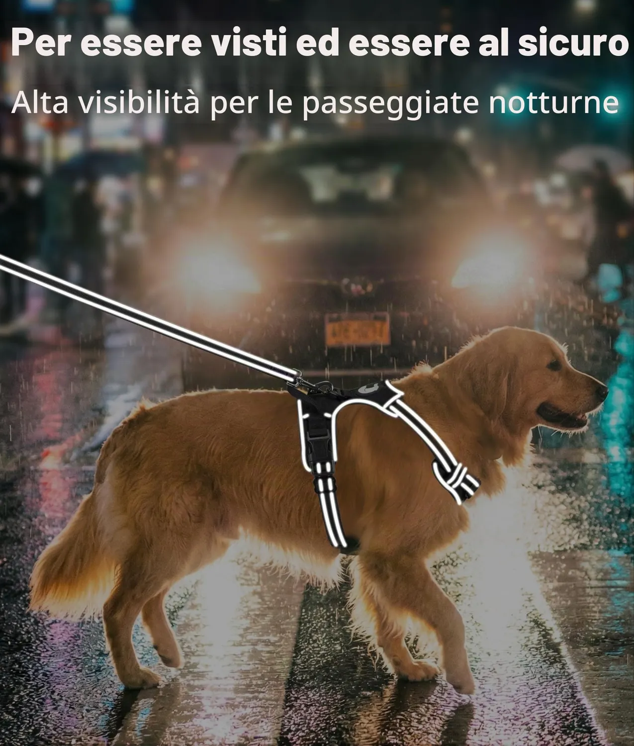 Joytale Pettorina ad H pettorina nera M traspirante riflettente