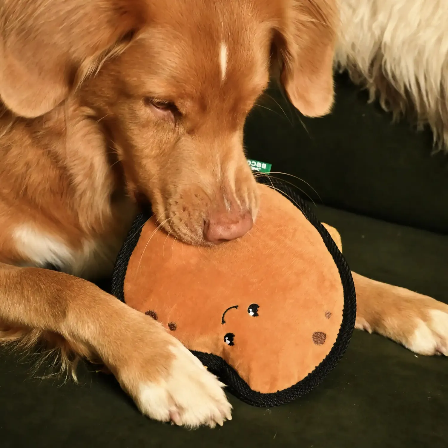 Beco Pets Piper Patata peluche cane con corda e squittio