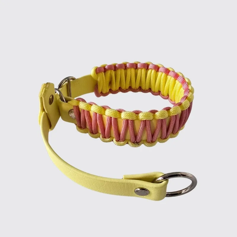 LabArt Dog Retriever Biopar collare Tokyo martingale