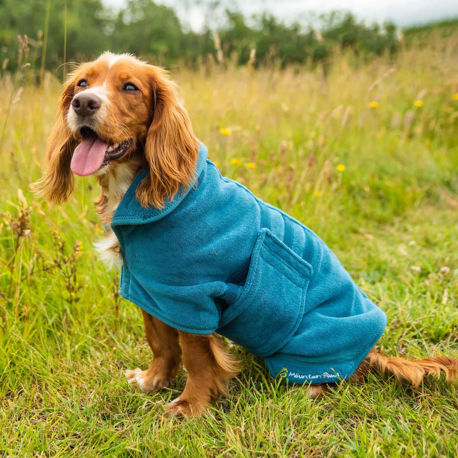 Mountain Paws Accappatoio Cane Microfibra Blu M