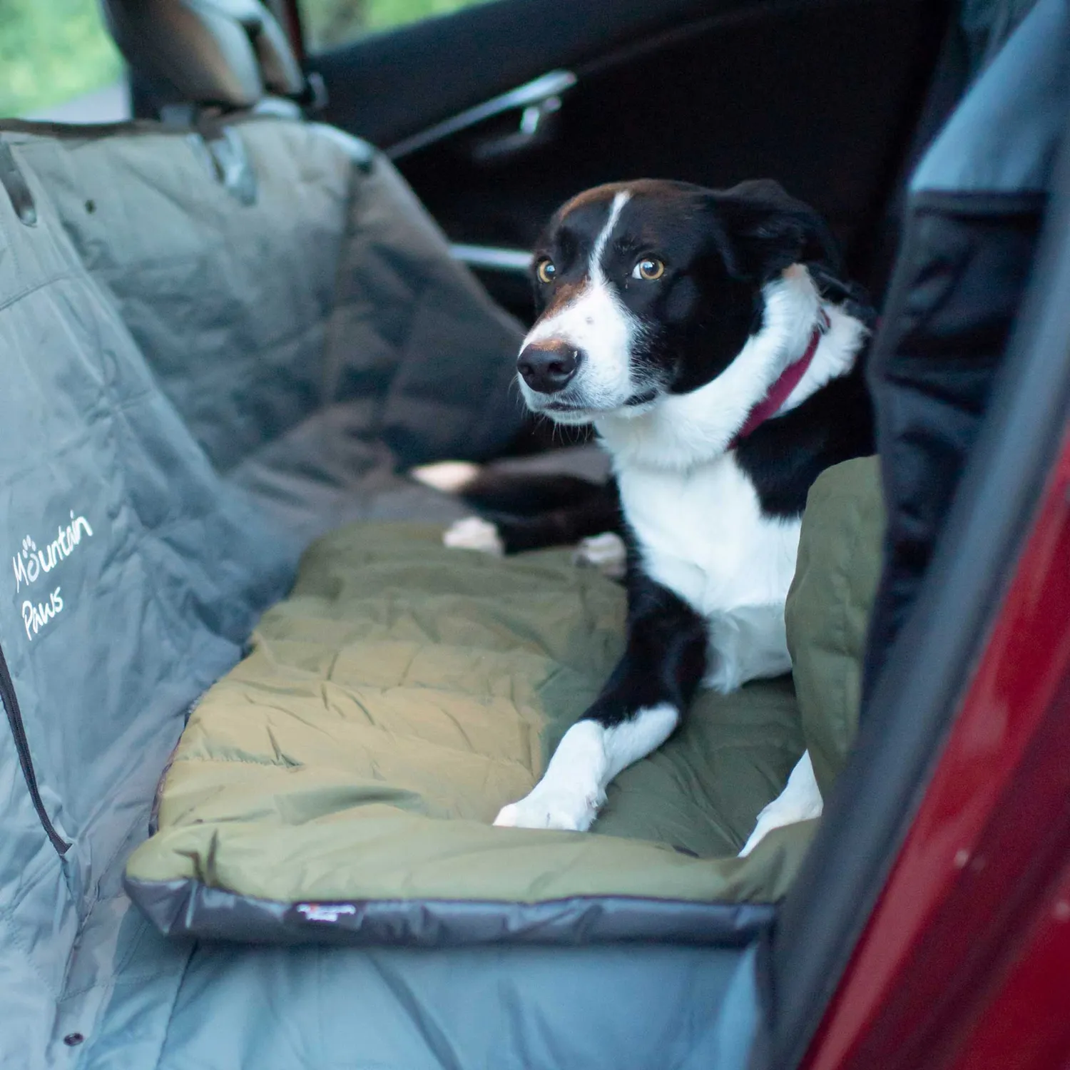 Mountain Paws Travel cuccia cane da viaggio leggera