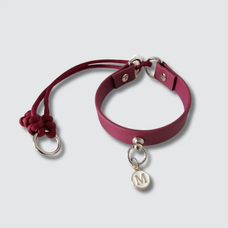 LabArt Dog Kit Cucciolo set guinzaglio + collare mini