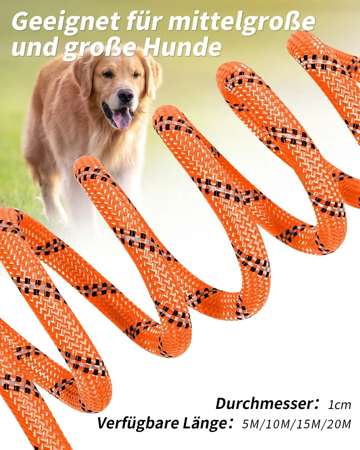 Joytale Guinzaglio Corda Addestramento Cane 5 m arancione