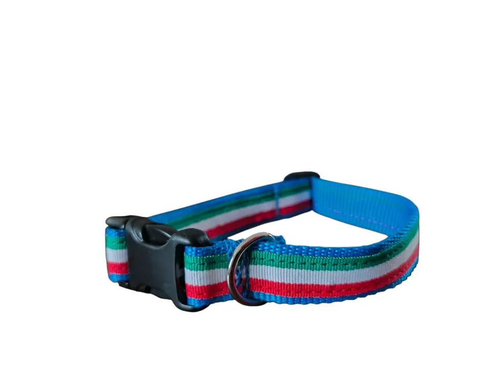 Anja for Dogs Italia collare turchese 2 cm regolabile
