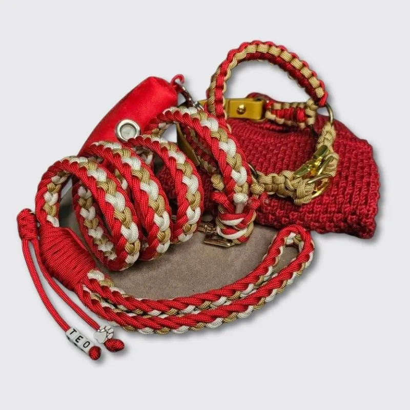 LabArt Dog Cuore Christmas guinzaglio paracord natalizio