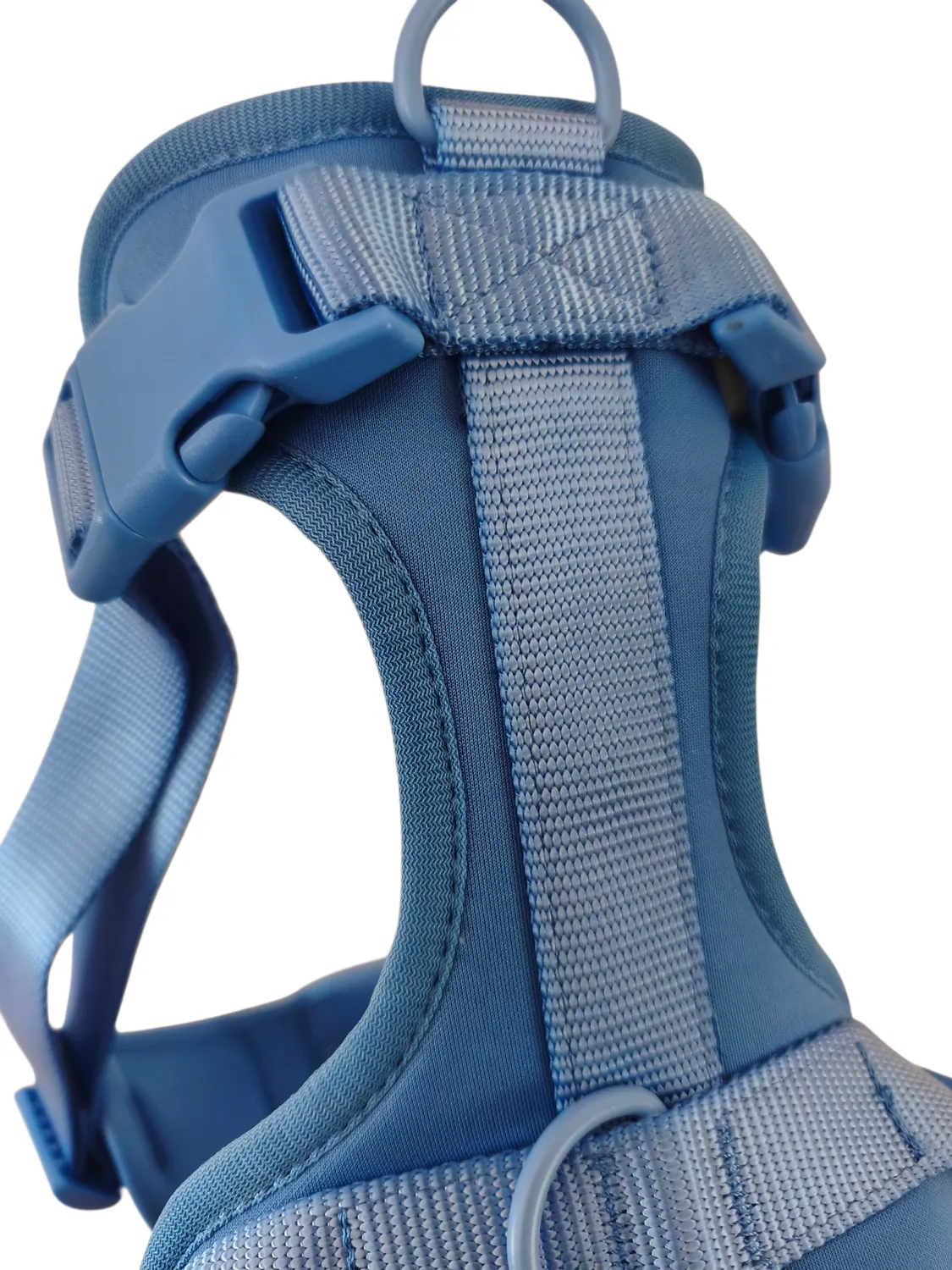 Anja for Dogs Star pettorina azzurra imbottita