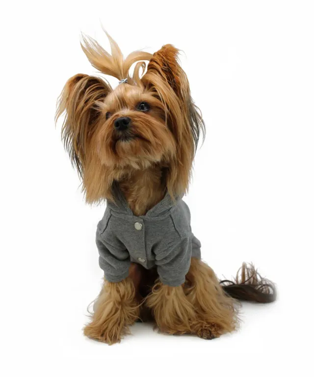 Royal Dog Space felpa cane grigia stella