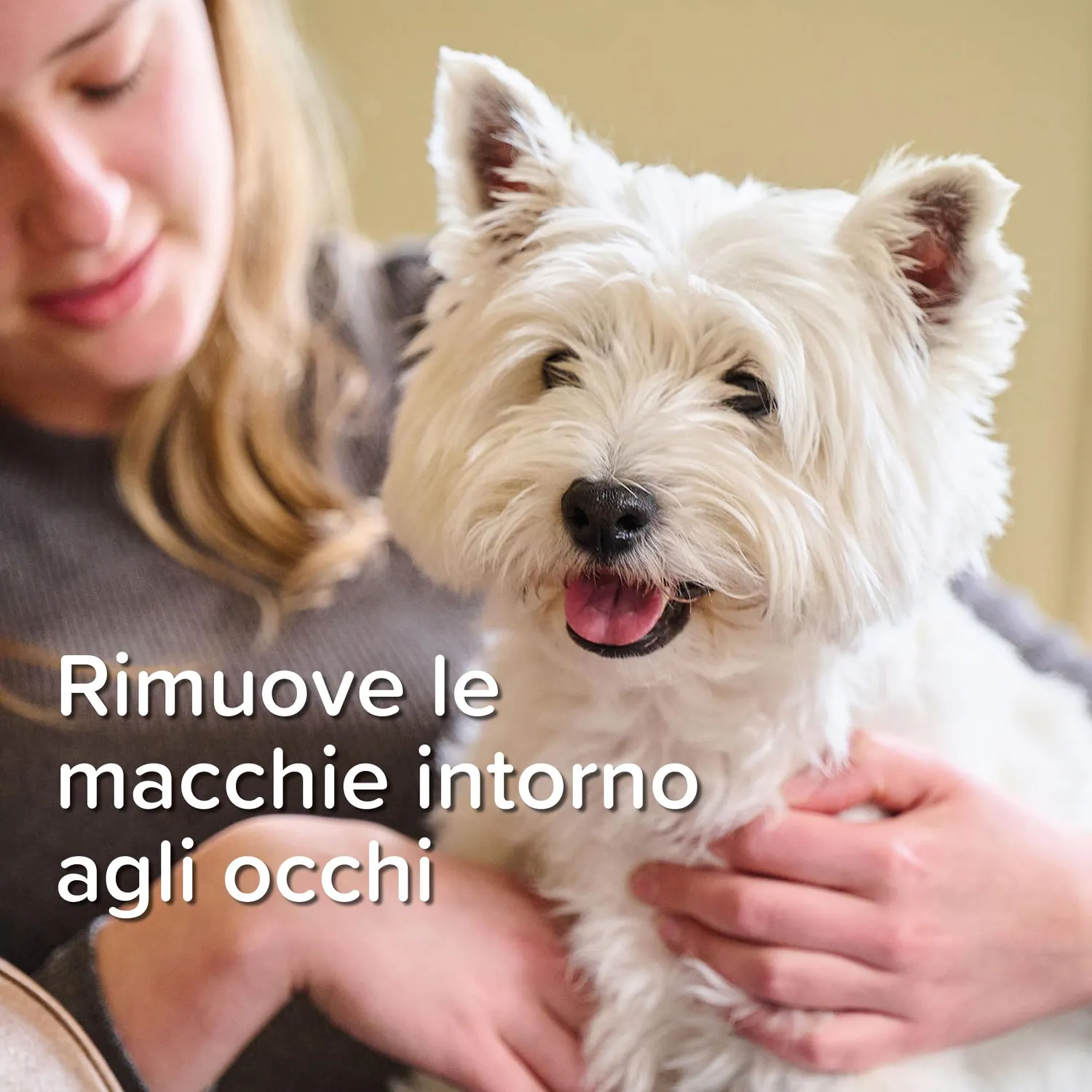 Beaphar Tear Stain Remover detergente occhi 50 ml cani gatti