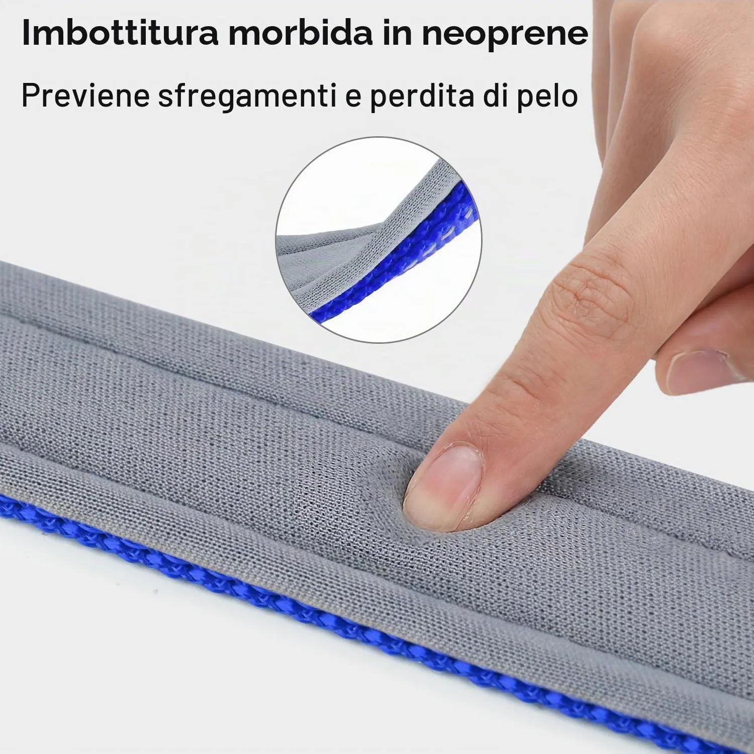 Joytale Collare Cane Imbottito Blu Scuro Taglia S Riflettente
