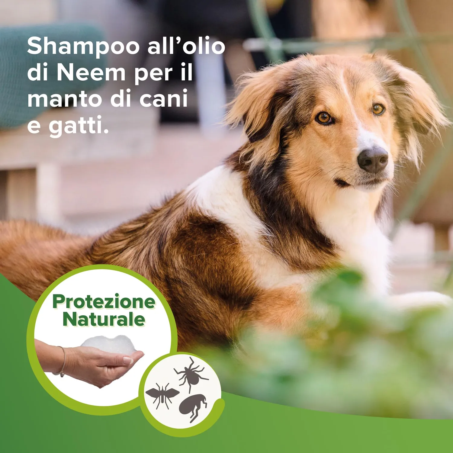 Beaphar Protezione Naturale Shampoo 250 ml neem