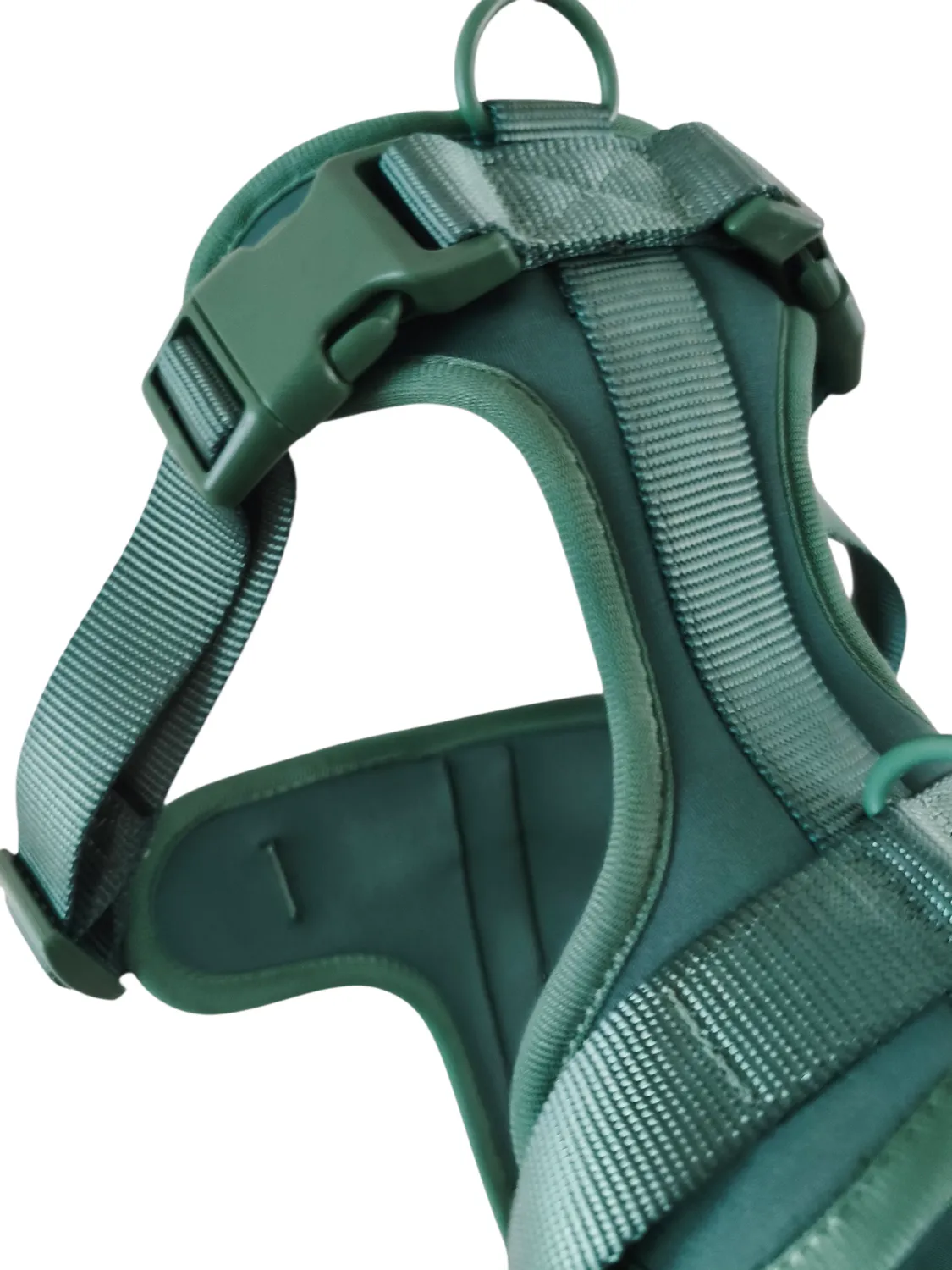 Anja for Dogs Star pettorina verde imbottita