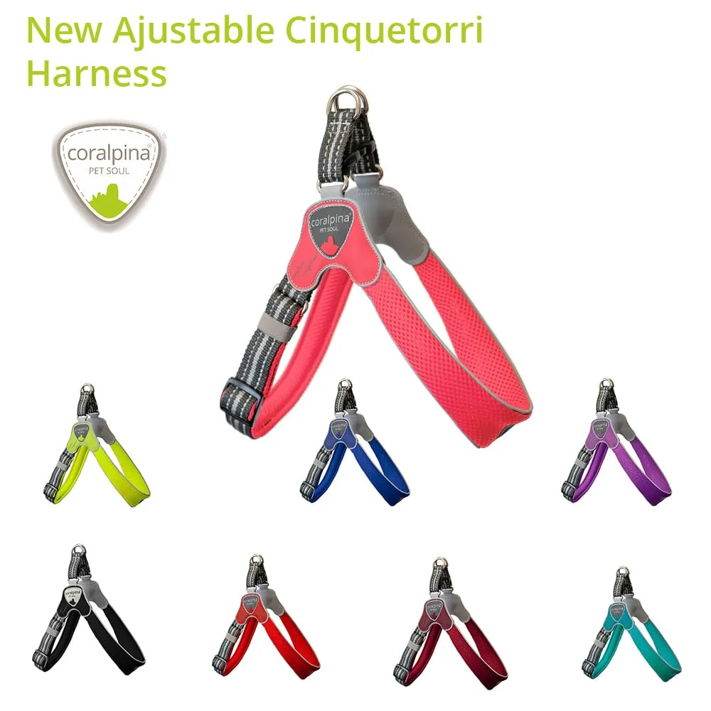Coralpina Cinquetorri Pettorina Regolabile 3 Blu Cani Medi