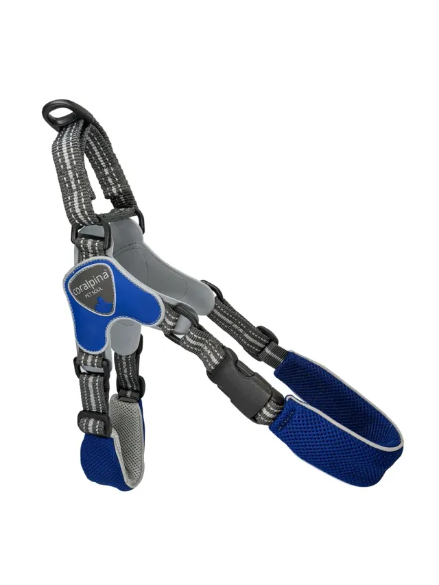 Coralpina Fiames Taglia 9 Pettorina Blu Medio-Grande