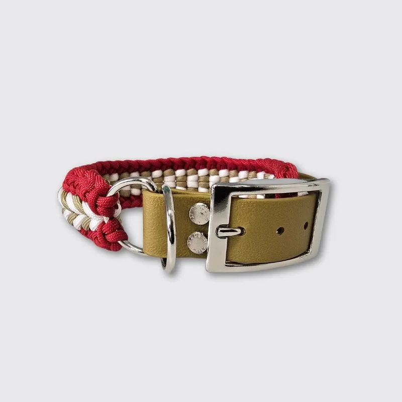 LabArt Dog Winner Christmas collare grande