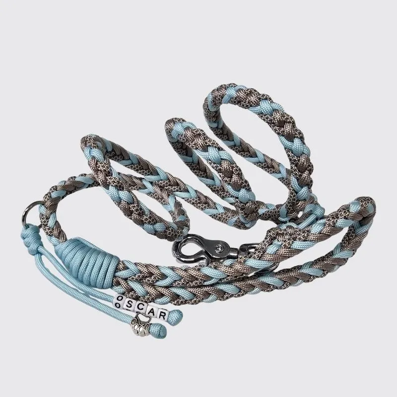 LabArt Dog Retriever collare in paracord martingala