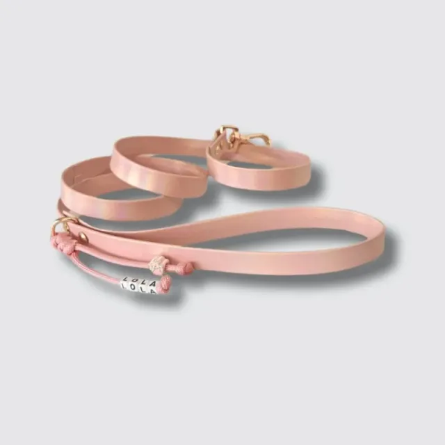 LabArt Dog Heritage guinzaglio ecopelle argento