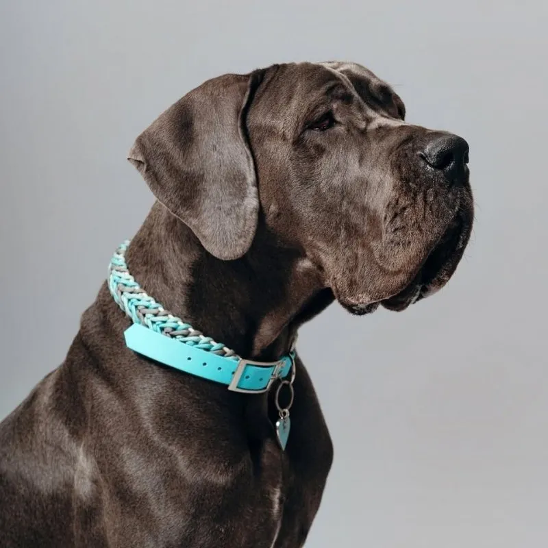 LabArt Dog Heartbeat collare cane grande resistente
