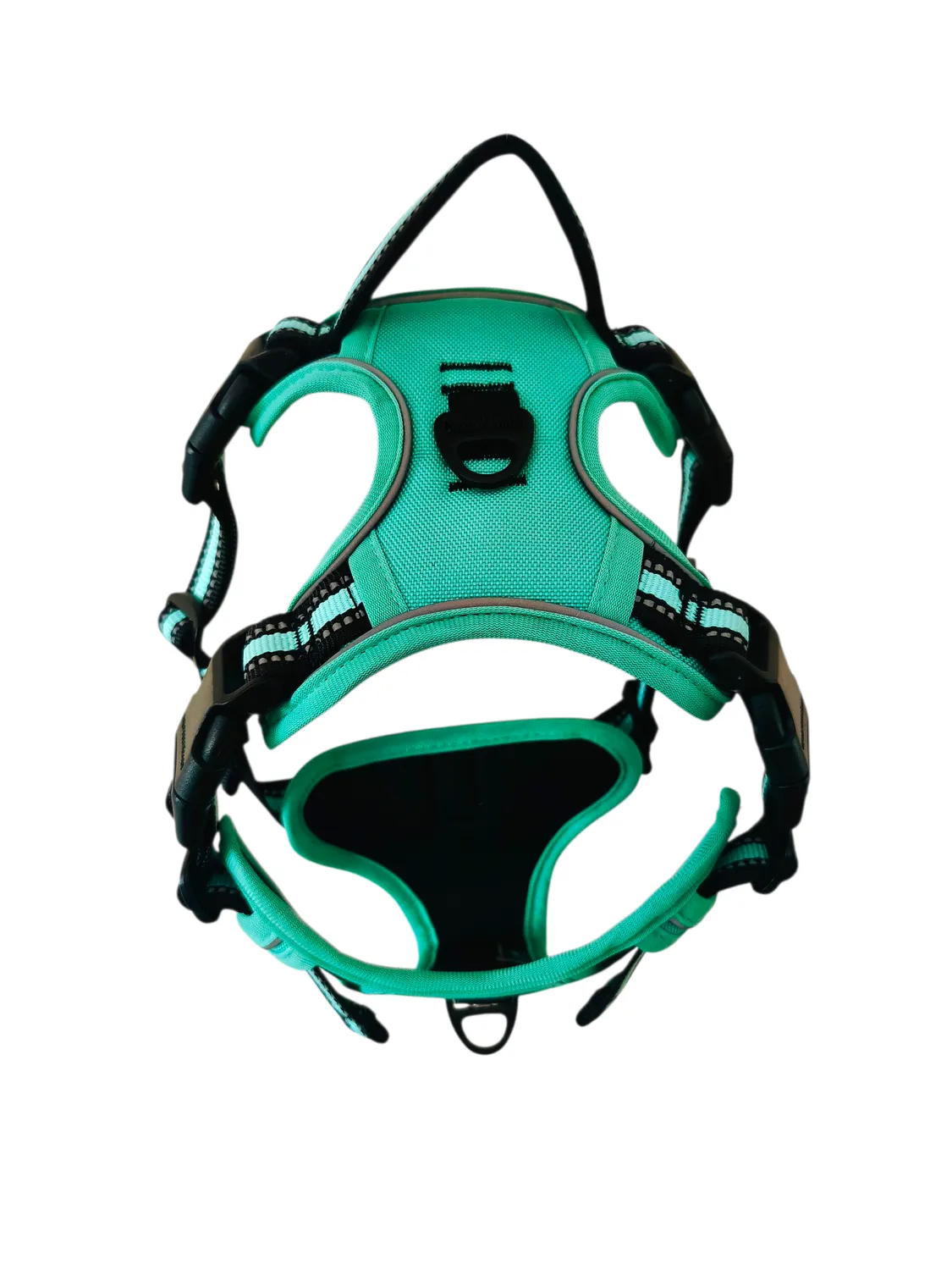Anja for Dogs Plus pettorina verde acqua imbottita