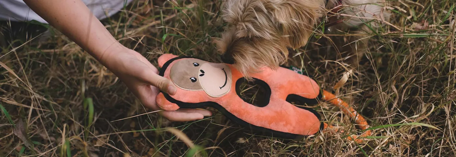 Beco Pets Orangutan peluche cane resistente riciclato