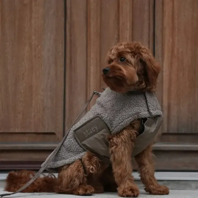 LabArt Dog Teddy cappotto per cani in pile caldo