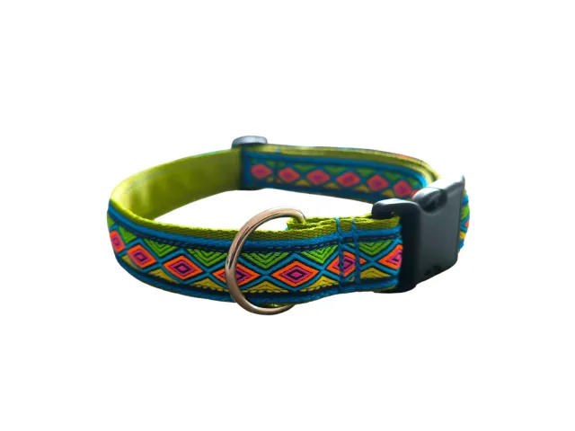 Anja for Dogs Laila Collare 3 cm Regolabile 40-65 per Cani
