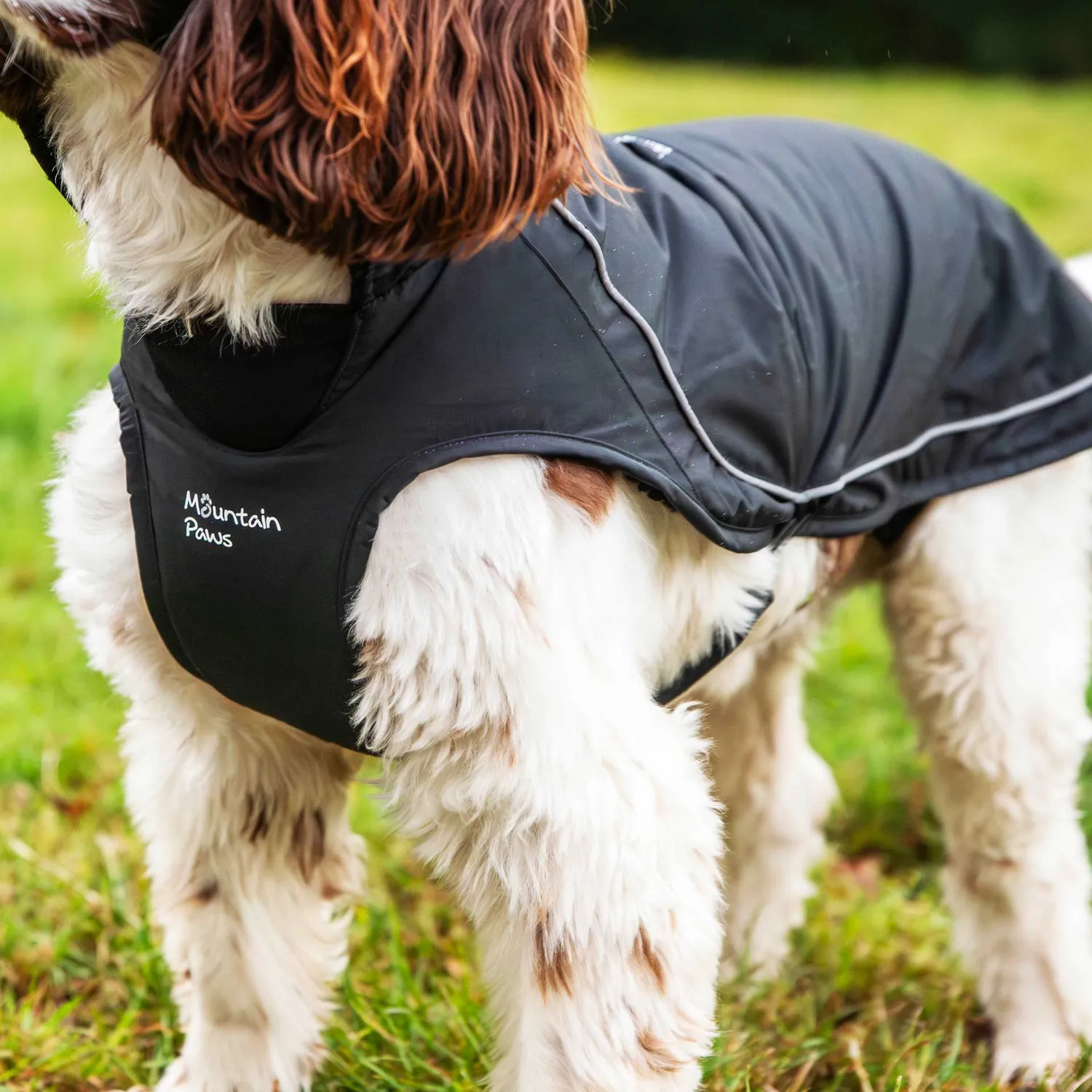 Mountain Paws Fleece Lined cappotto cane nero impermeabile