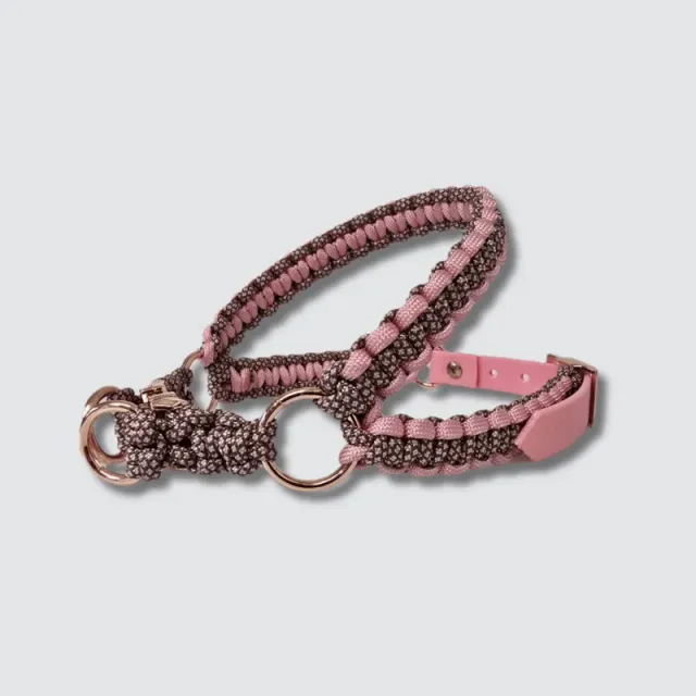 LabArt Dog Y 2.0 Provenza pettorina paracord biothane