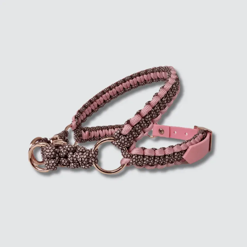 LabArt Dog Y 2.0 Provenza pettorina paracord biothane