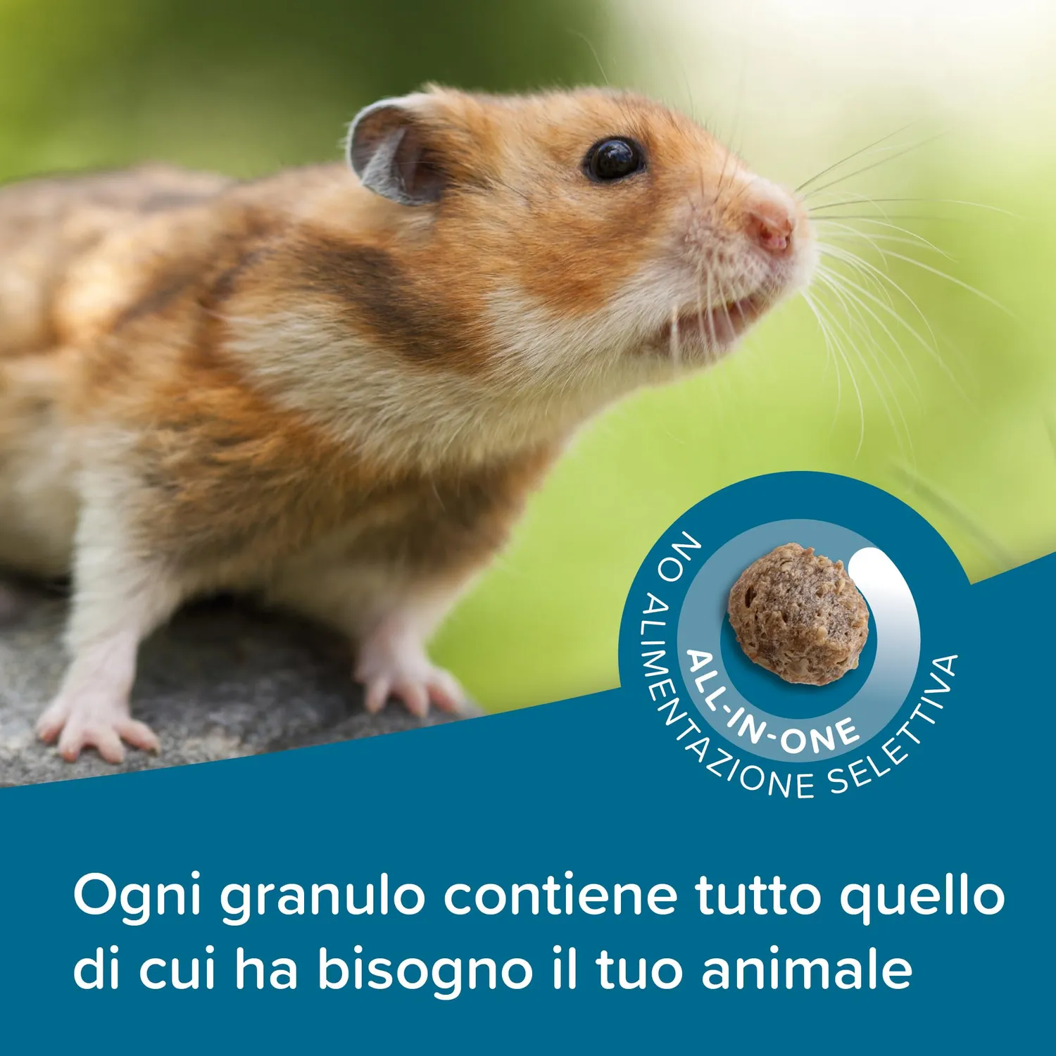 Beaphar Care+ Criceto Mangime 700 g Super Premium