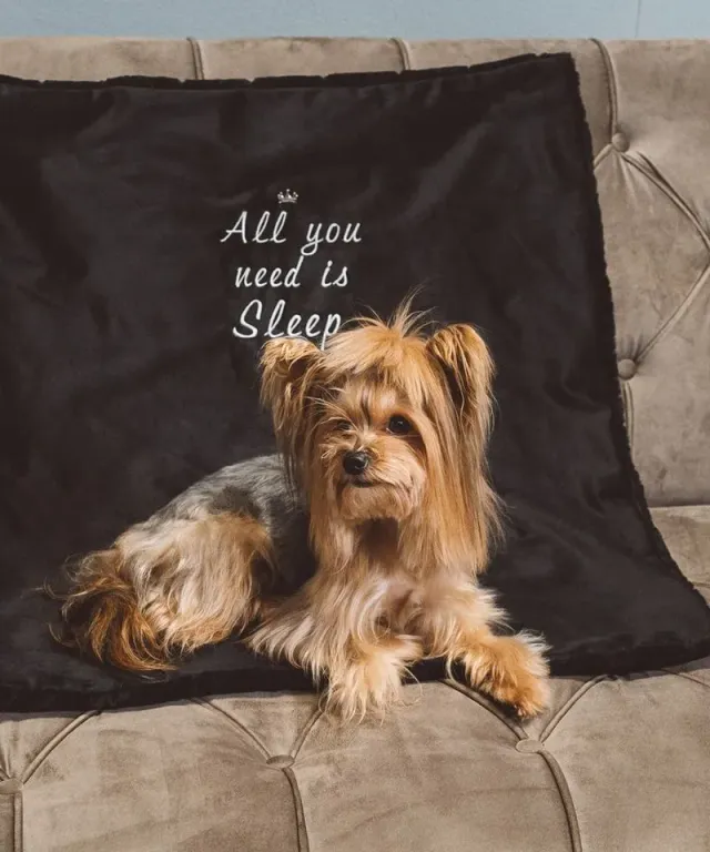 Royal Dog All You Need tappeto cane double-face