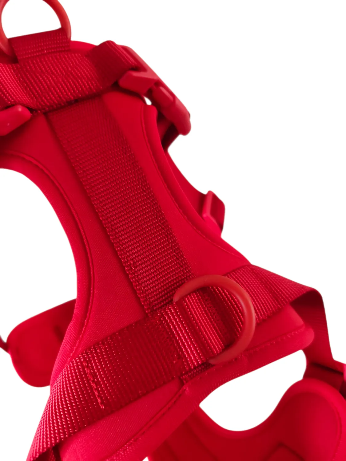 Anja for Dogs Star pettorina rossa imbottita regolabile