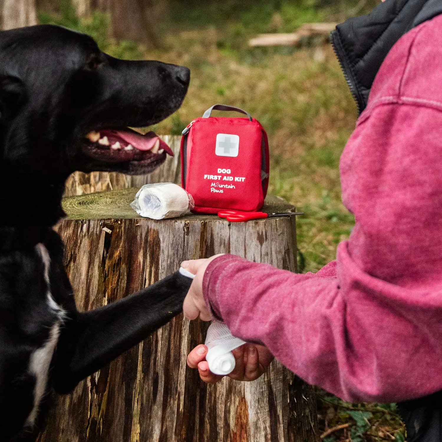 Mountain Paws Kit Pronto Soccorso Cane Idrofugo Compatto
