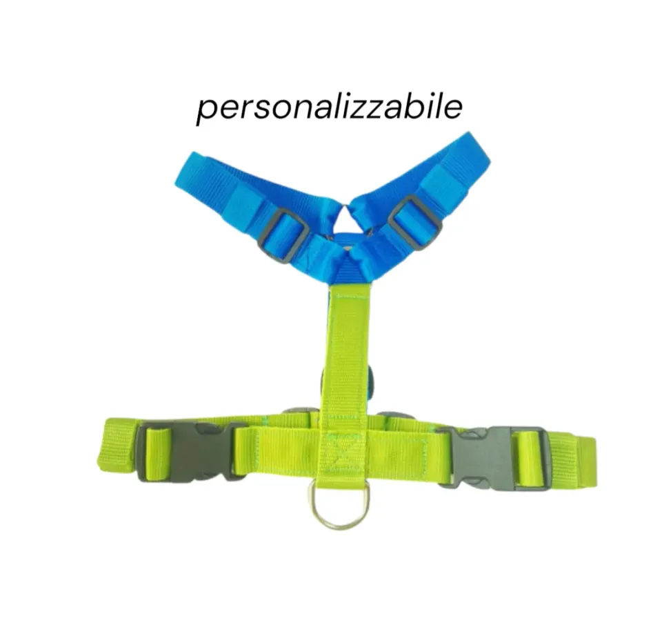Anja for Dogs Bicolor pettorina ad H anti-tiro