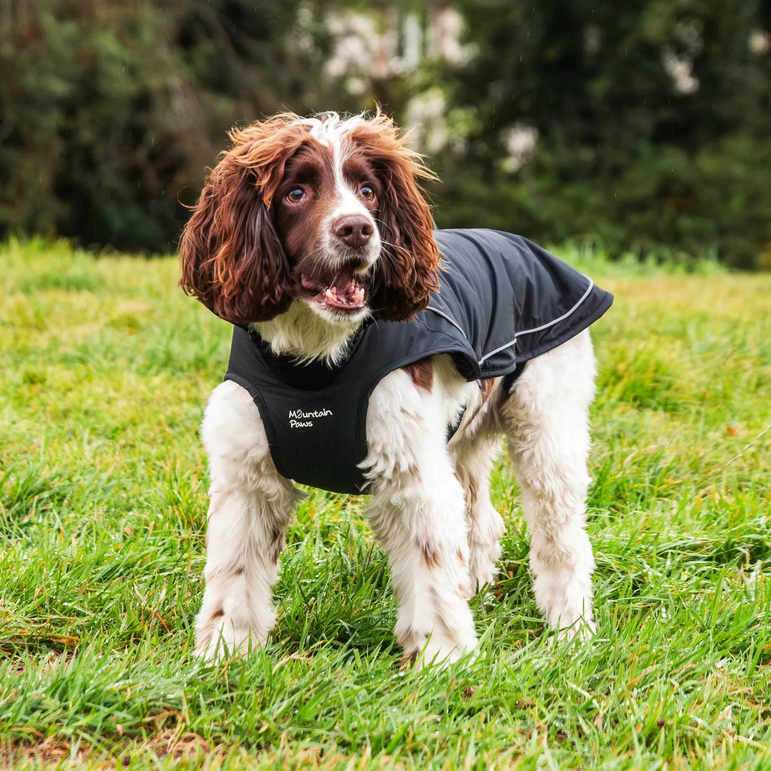 Mountain Paws Fleece Lined cappotto cane nero impermeabile