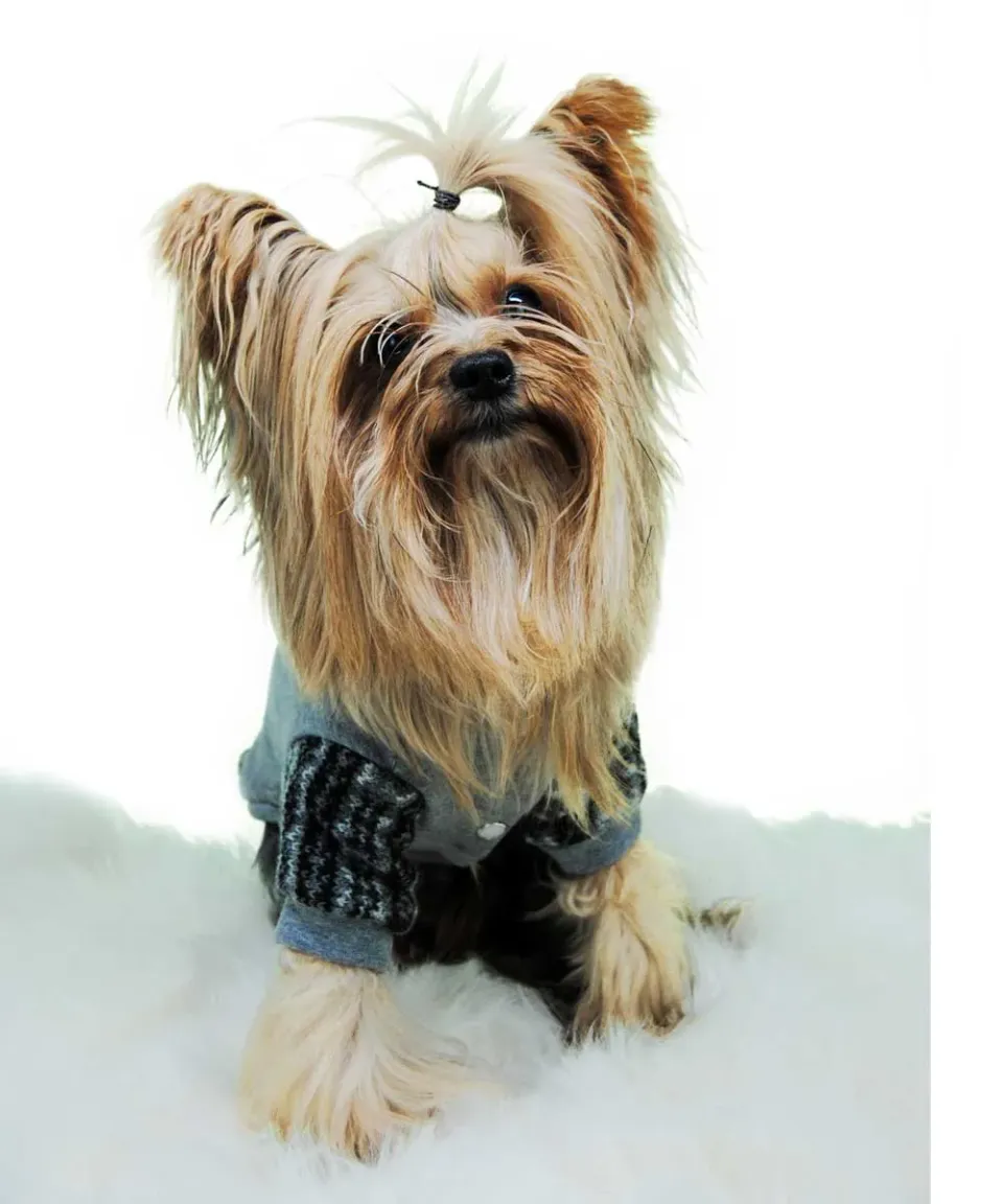 Royal Dog Courmayeur tutina cane invernale calda