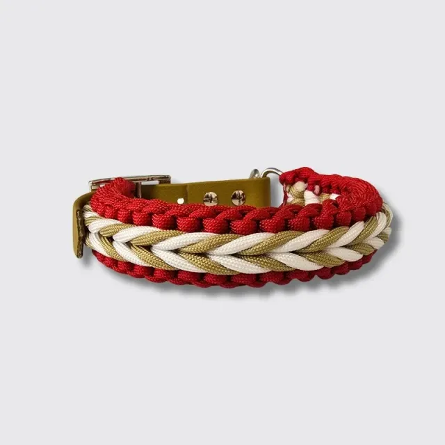 LabArt Dog Little Benjamin Christmas collare 19 mm idrorepellente