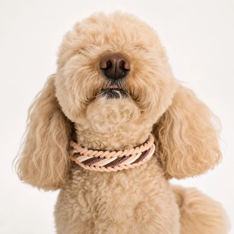 LabArt Dog Mini Caramella collare paracord regolabile