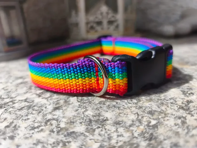 Anja for Dogs Rainbow collare cane 2 cm 30-45