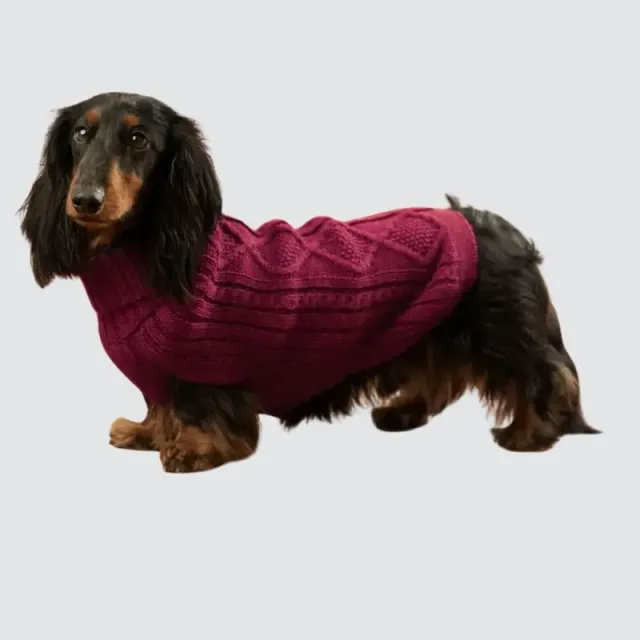 LabArt Dog Alpaca Aran maglioncino lana caldo